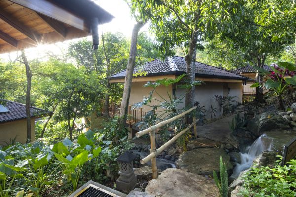 Jungle Room Queen - Image 14