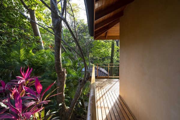 Jungle Room Queen - Image 15