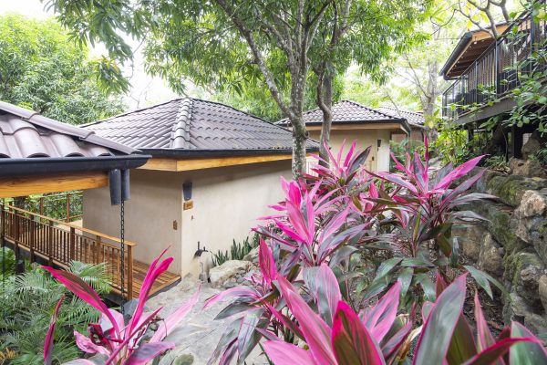 King Bungalow - Image 17