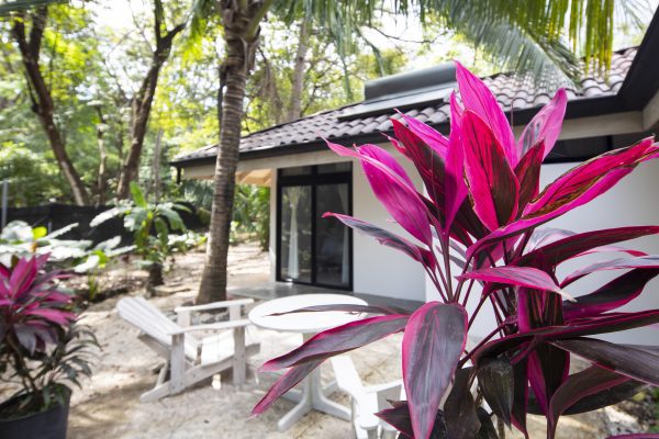 Jungle Room - Image 10